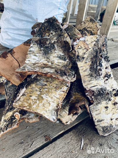 Кора березы