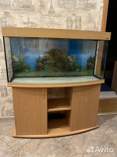 Аквариум с тумбой 240л. бу
