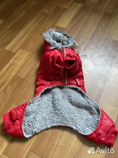 Вещи на йорка или другой маленькой собаки