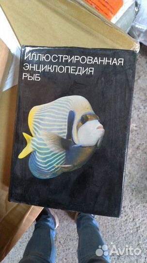 Иллюстрированная энциклопедия рыб