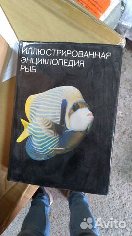 Иллюстрированная энциклопедия рыб