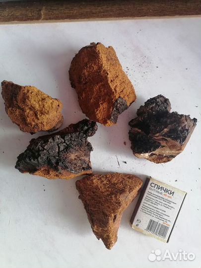 Чага берёзовая, кусковая