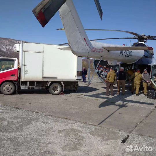 Грузоперевозки, переезды,грузчики, город, край