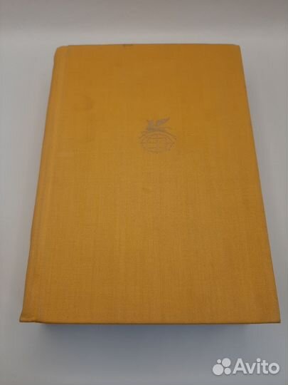 Мария Пуйманова, 