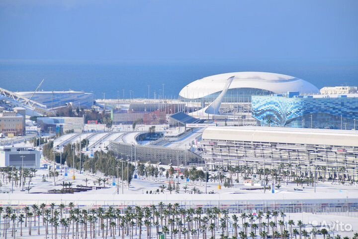 В Сочи на выходные