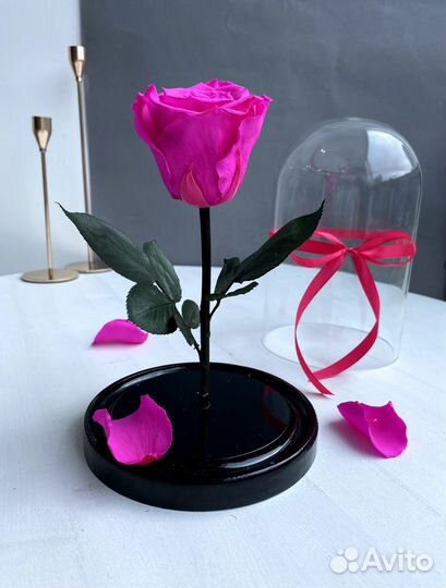 Вечная роза