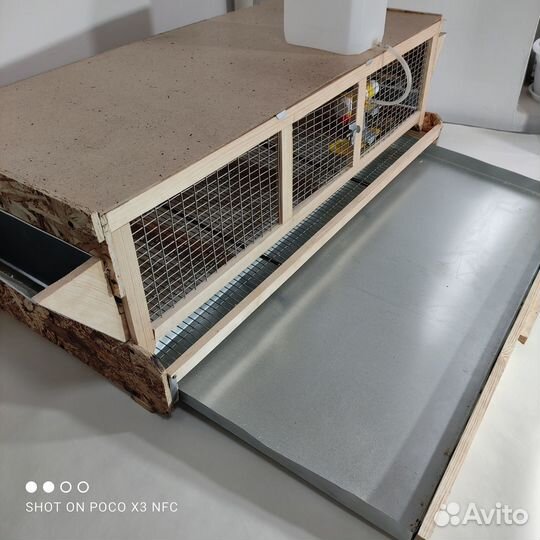 Клетки для перепелов