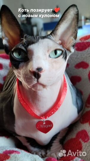 Адресник для собак