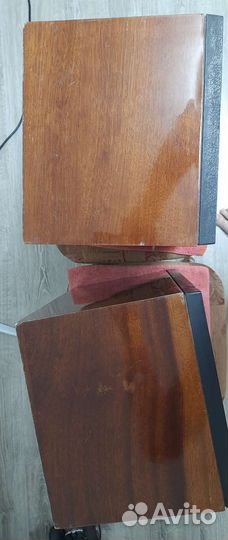 Акустические колонки вега 25ас-109