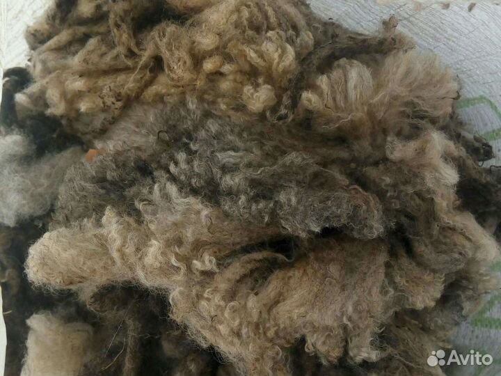 Шерсть овечья