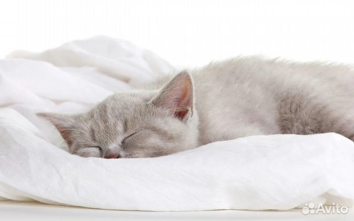 Упаковщик на склад текстиля / м01