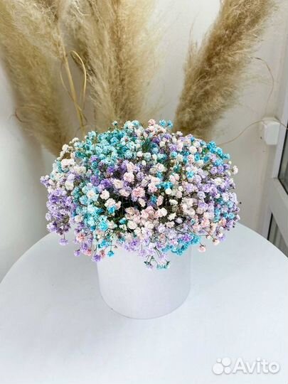 Гипсофила в коробке доставка