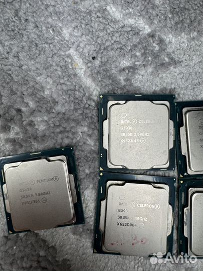 Процессоры Pentium / Celeron