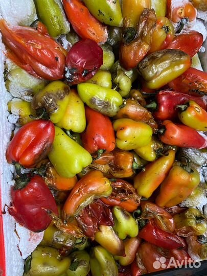 Продам овощи