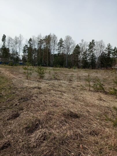 Участок 13 сот. (ИЖС)