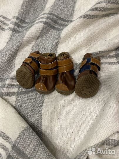 Ботинки для маленьких собак