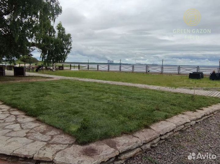 Полевой газон 