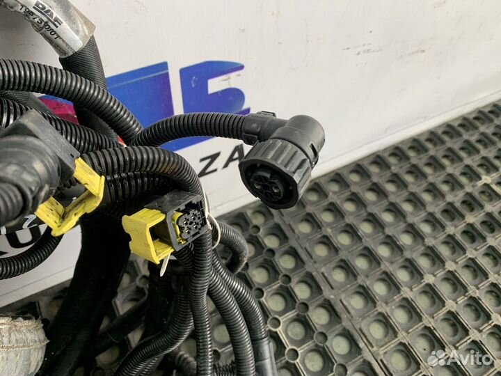 Проводка шасси Daf XF106