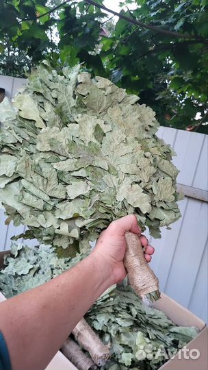 Банные веники дуб премиум