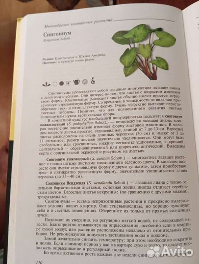 Полная энциклопедия комнатных растений