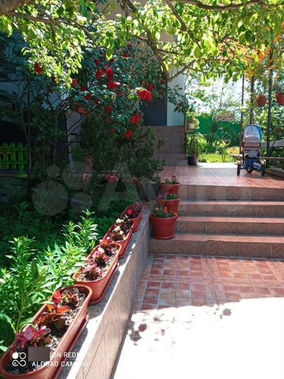 Комната 20 м² в 1-к., 1/1 эт.