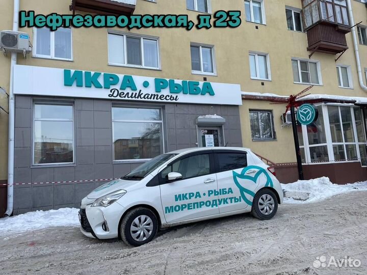 Гребешок курильский