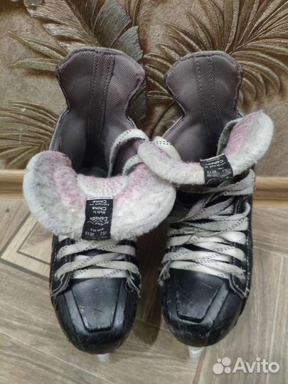 Хоккейные коньки bauer nexus 6000 1D