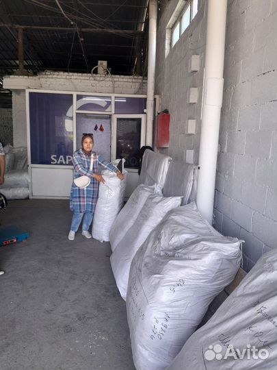 Байер Киргизия