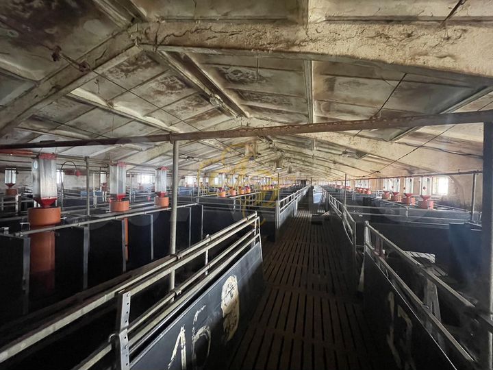 Фермерское хозяйство