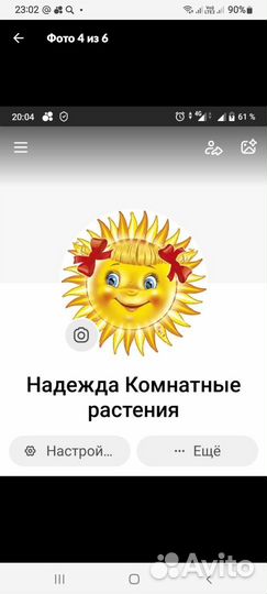 Сортовые фиалки