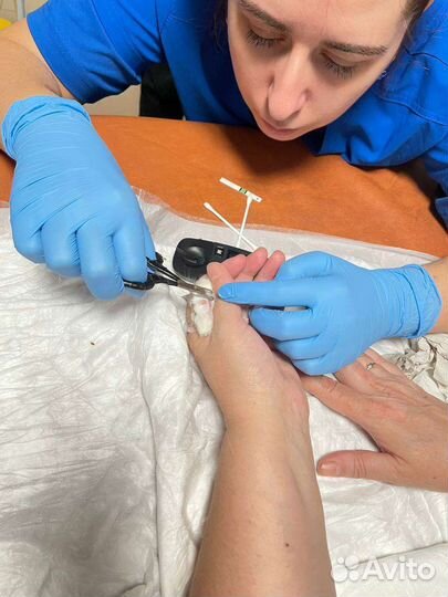 Стрижка когтей и чистка паж (параанальных желез)