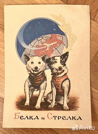 Карточка почтовая / открытка Белка и Стрелка