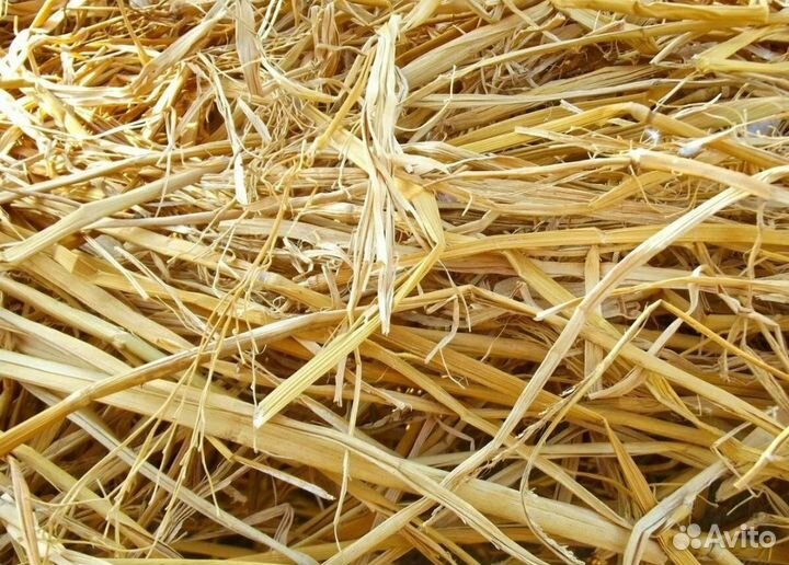 Солома сено в мешках