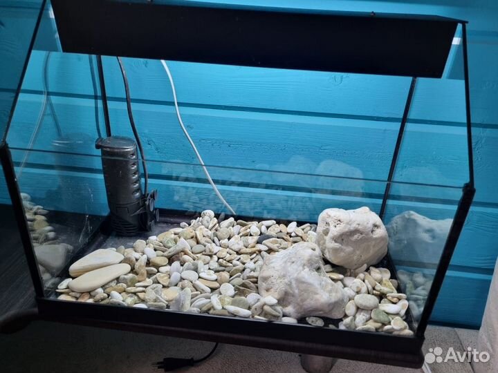 Аквариум