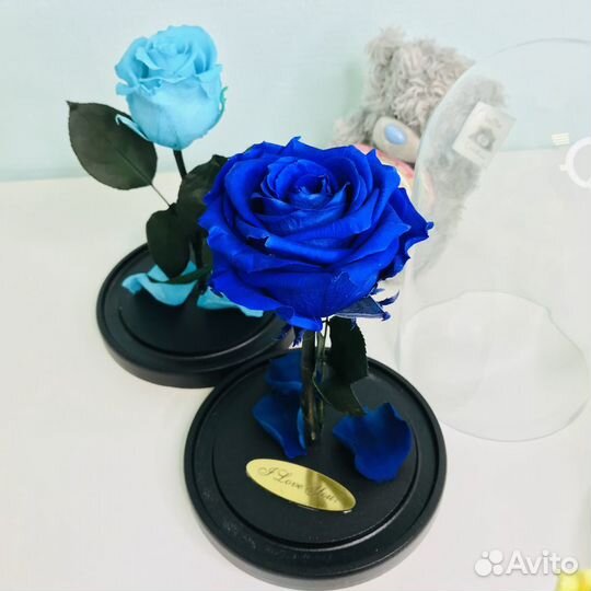 Роза в колбе синяя