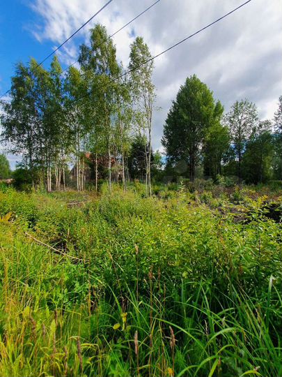 Участок 12 сот. (ИЖС)