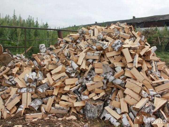 Дрова осиновые