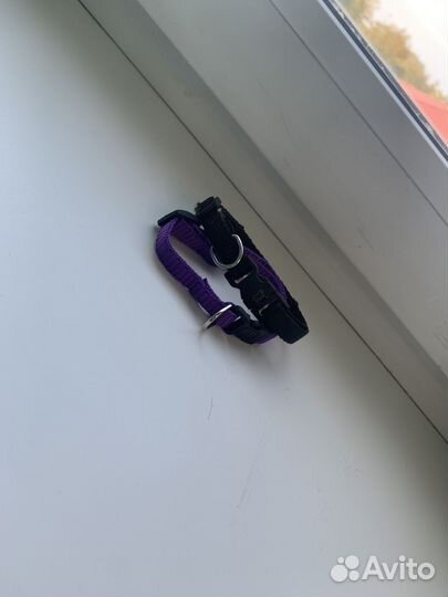 Ошейник для собак