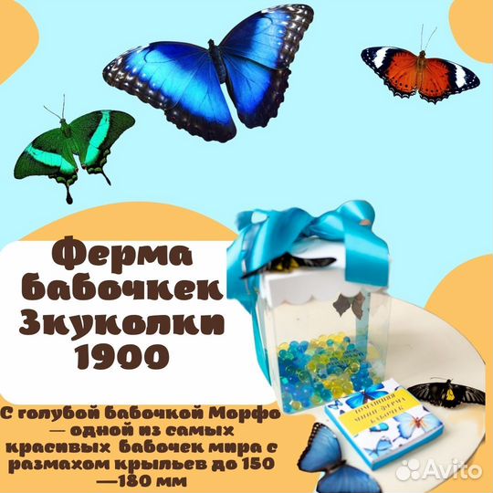 Детская мини ферма бабочек