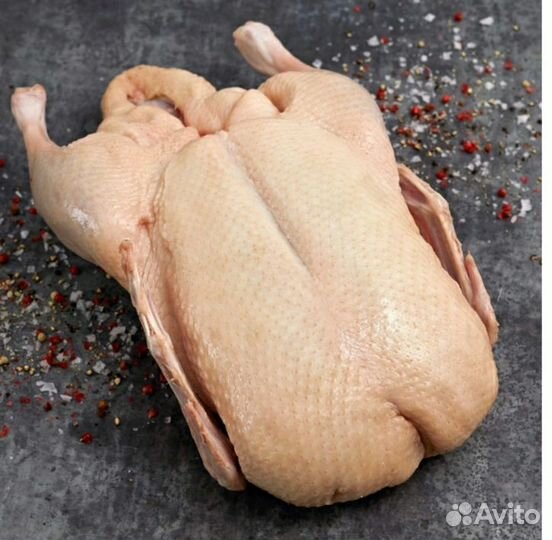 Утка и курица домашняя мясо