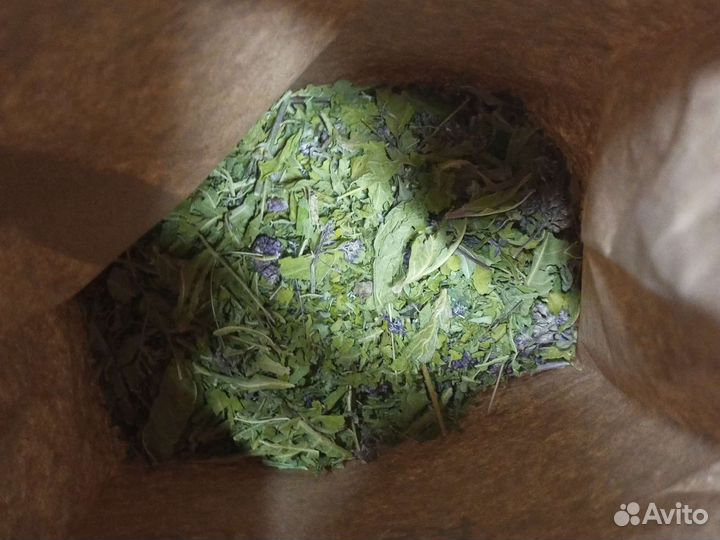 Аморантовое дерево семена