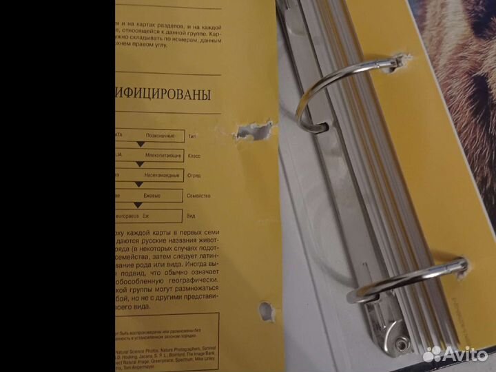 Книги в мире дикой природы цена за 2