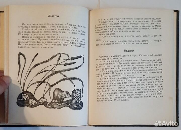 Пять дней из жизни черепахи. Рассказы