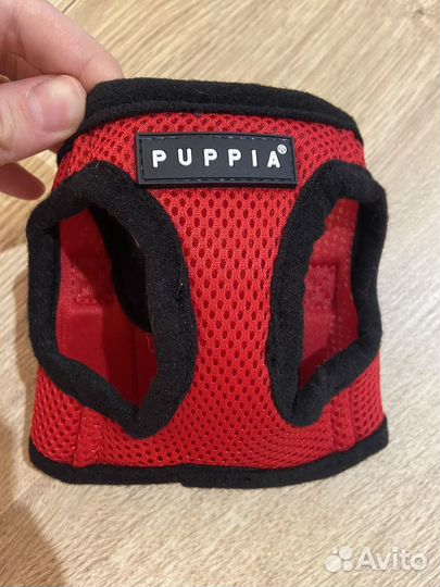 Шлейка для животных