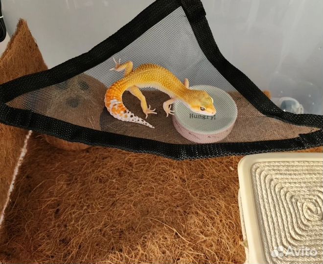 Гамак для террариума