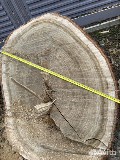 Спил и вывоз деревьев