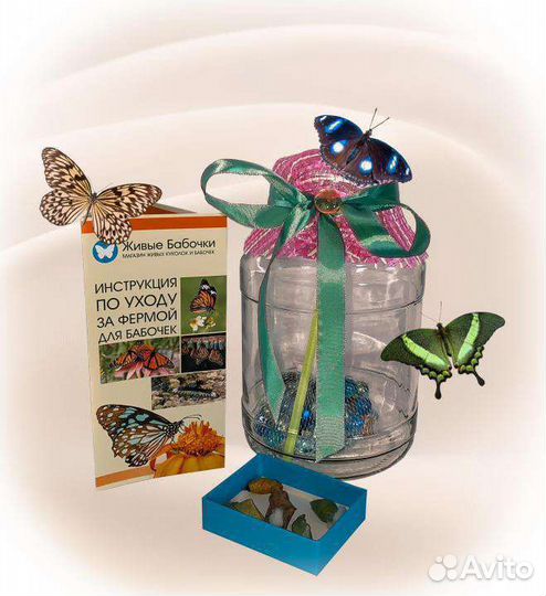 Детская ферма бабочек