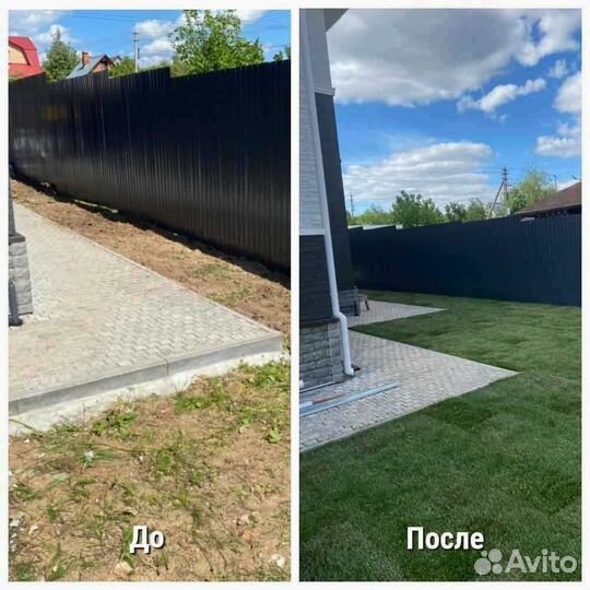 Укладка и продажа рулонного газона