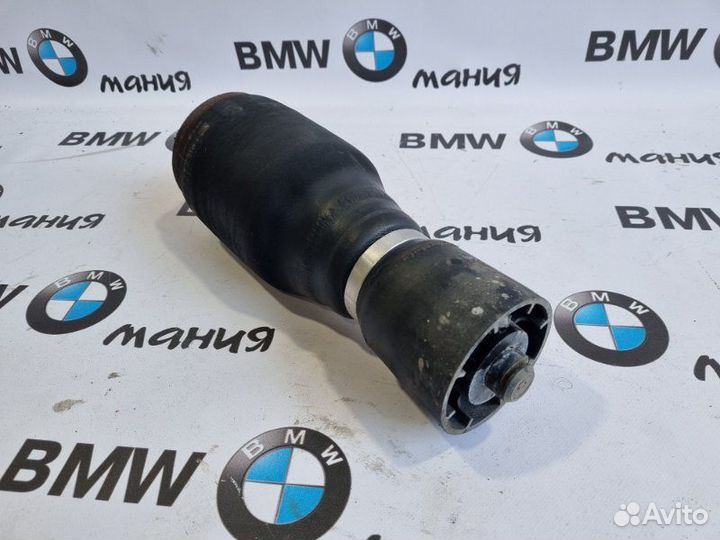 Пневмобаллон задний правый Bmw X5 E53 рест M57D30