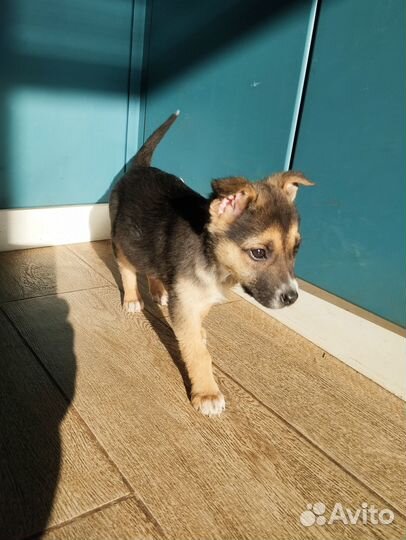 Как страшно жить